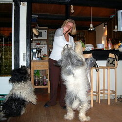 20051009